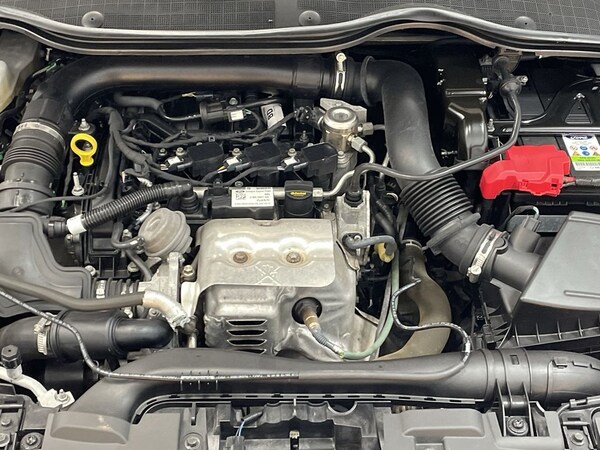 Used Ford Fiesta 2019 for sale - 76279909: Photo 31