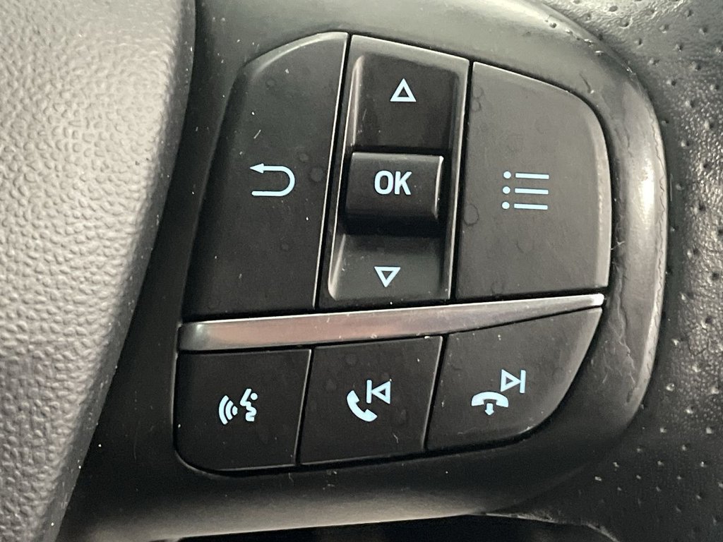 Used Ford Fiesta 2019 for sale - 76110399: Photo 33