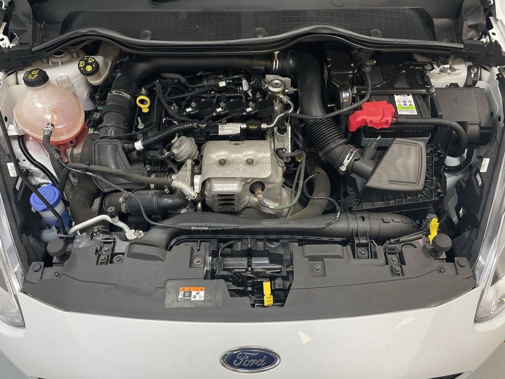 Used Ford Fiesta 2019 for sale - 76110399: Photo 35