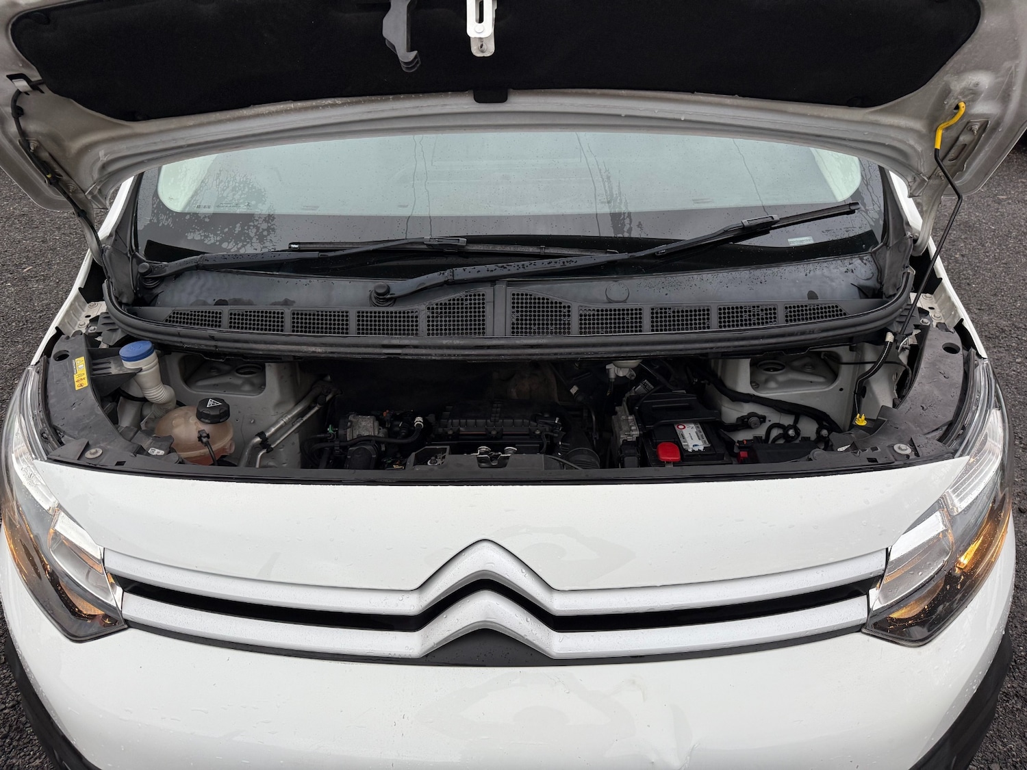 Used Citroen Dispatch 2016 for sale - 78198046: Photo 23