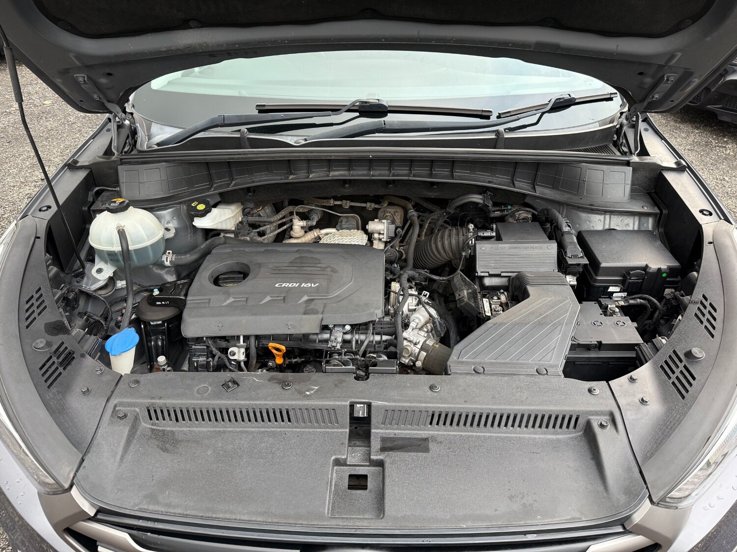 Used Hyundai TUCSON 2015 for sale - 77543564: Photo 23