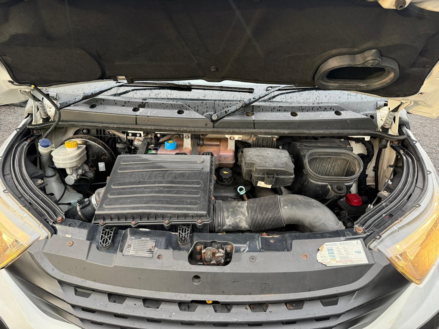 Used Iveco Daily 2016 for sale - 77350076: Photo 22