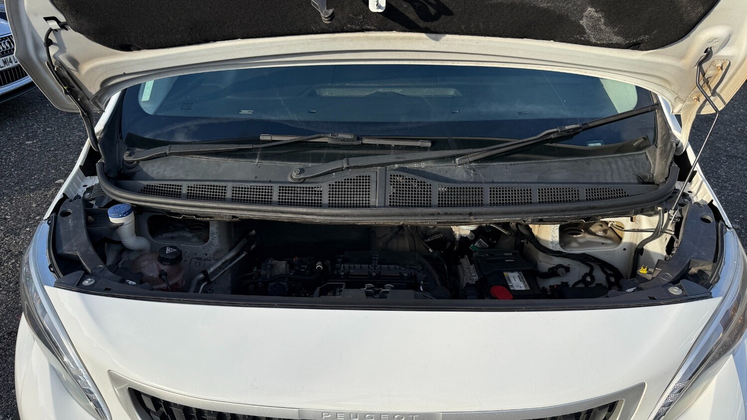 Used Peugeot Expert 2018 for sale - 76971679: Photo 23