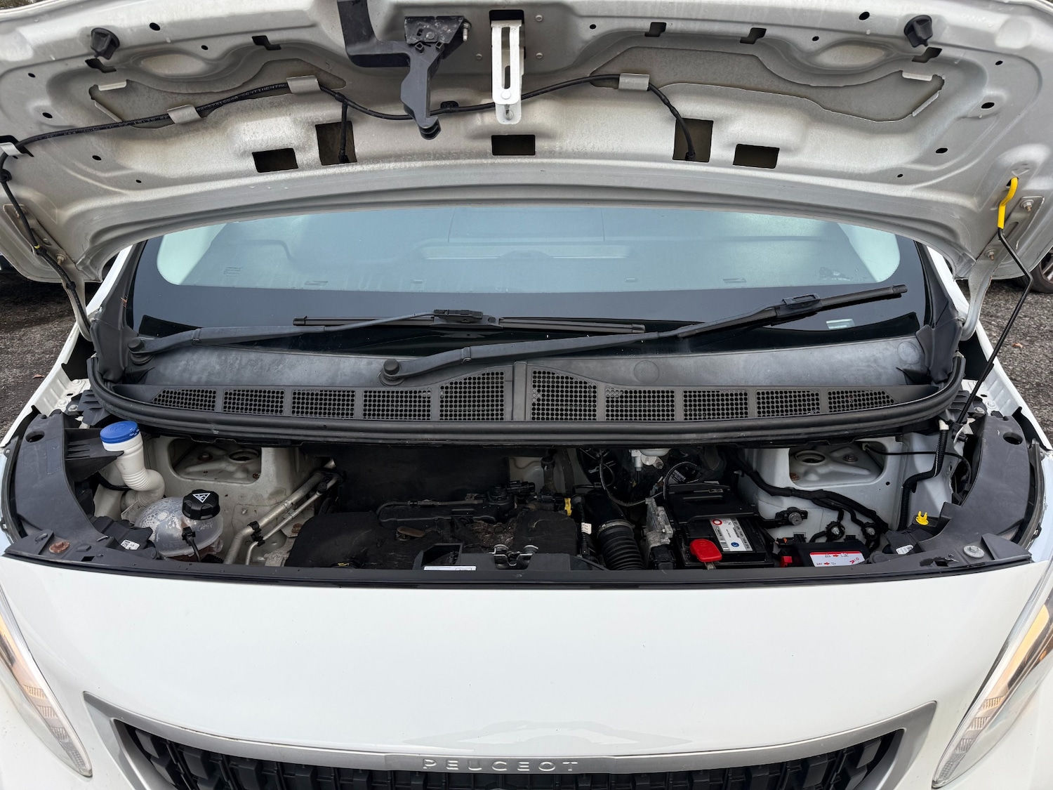 Used Peugeot Expert 2017 for sale - 78197735: Photo 23