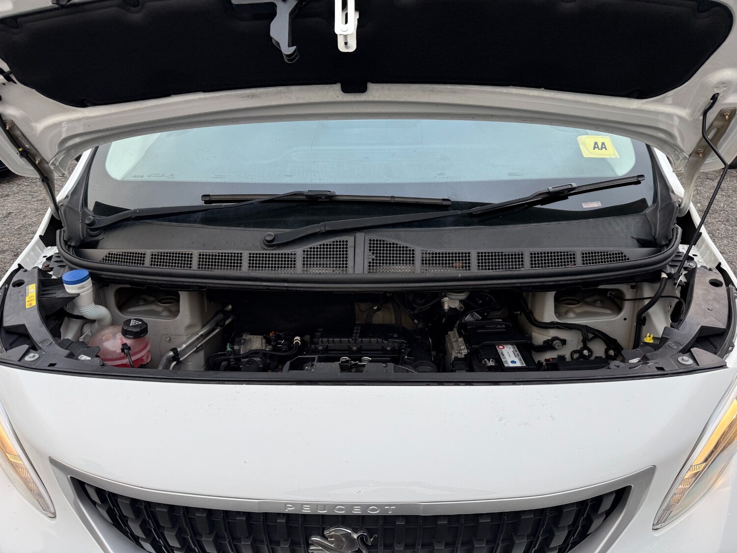 Used Peugeot Expert 2019 for sale - 77045697: Photo 23