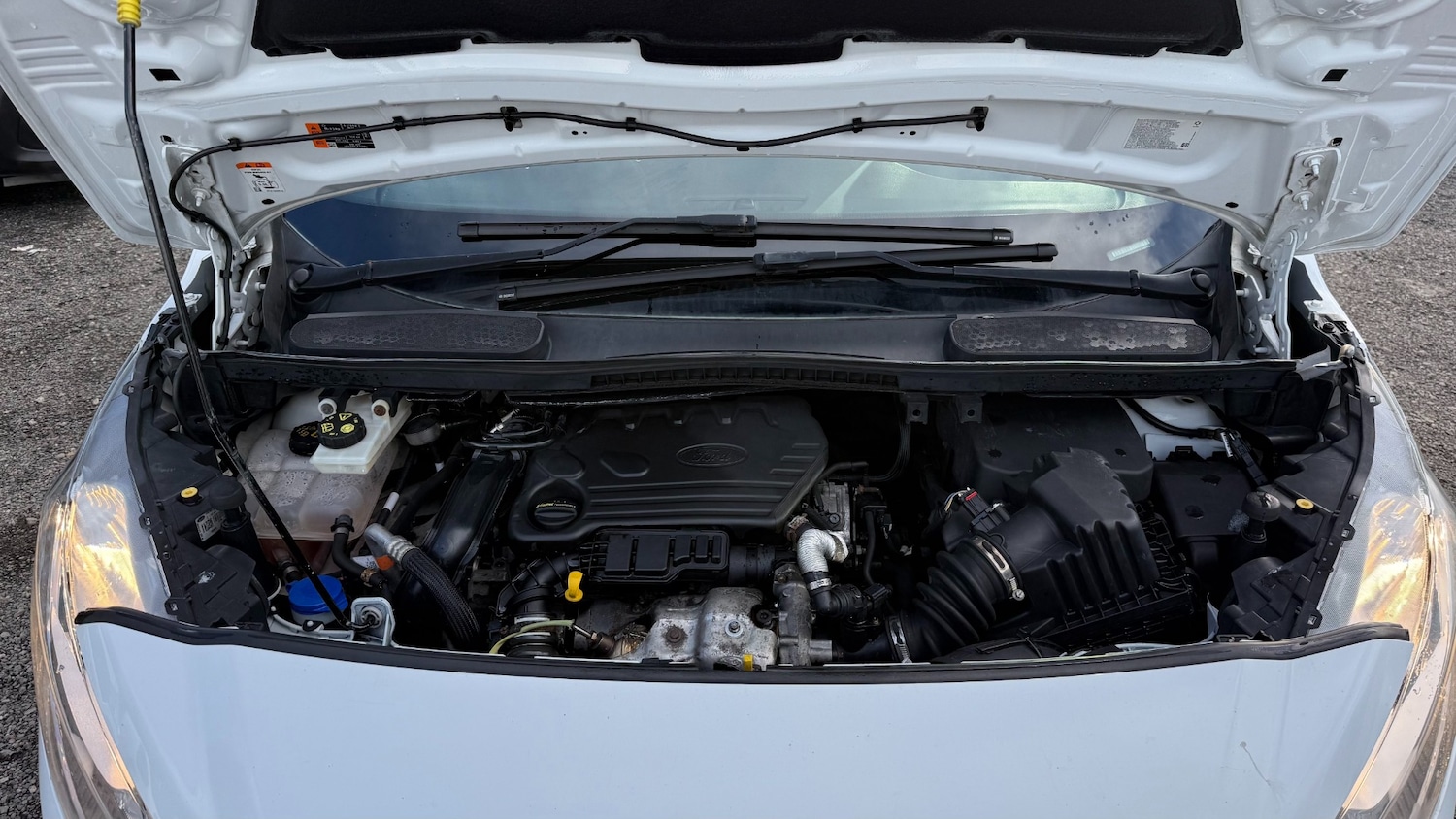 Used Ford Transit Connect 2019 for sale - 78162960: Photo 23