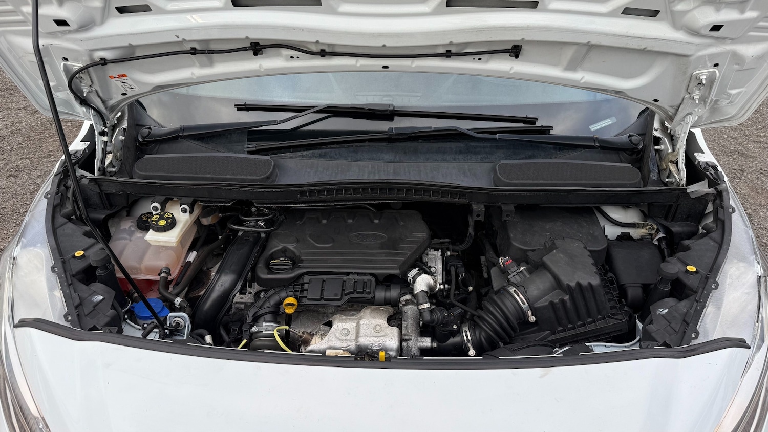 Used Ford Transit Connect 2020 for sale - 76859274: Photo 21