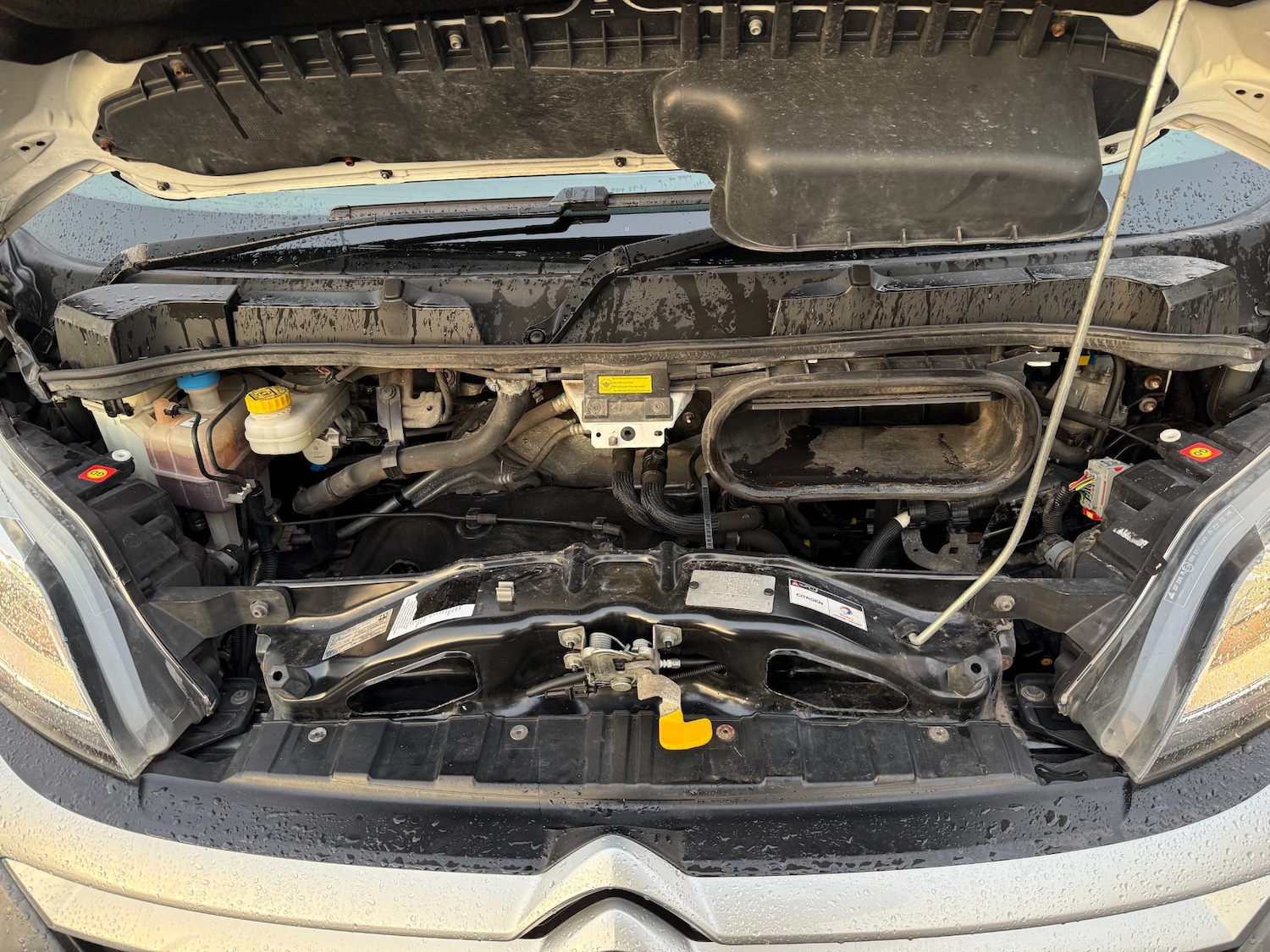 Used Citroen Relay 2017 for sale - 77148178: Photo 21