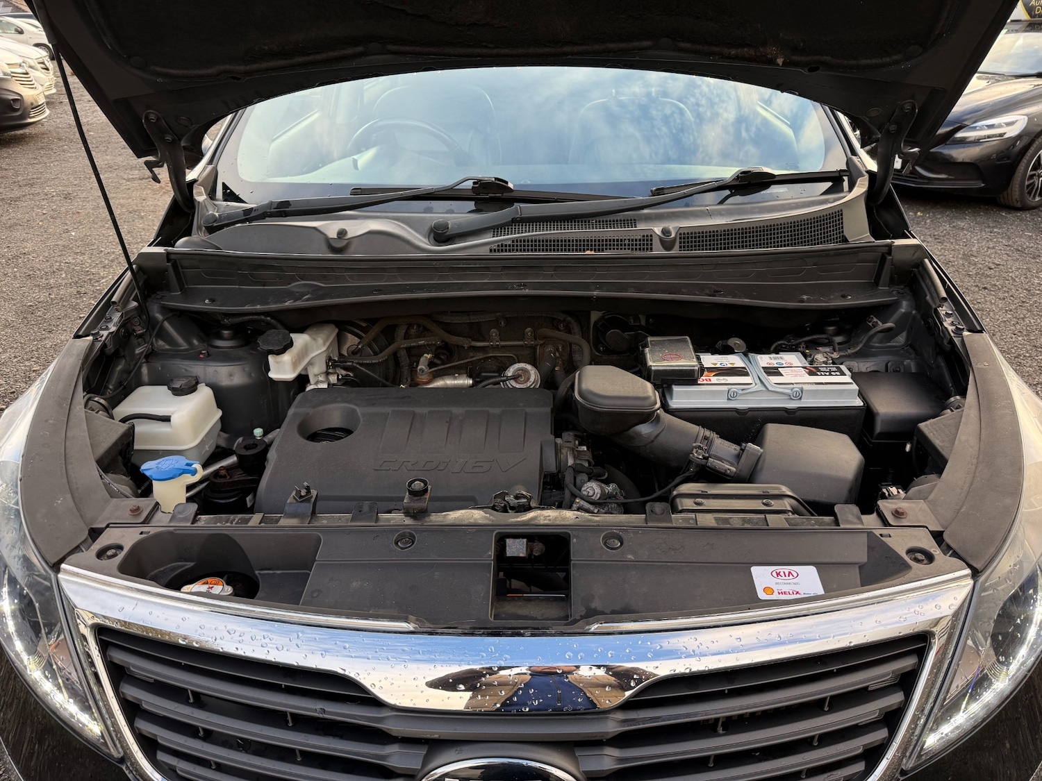 Used Kia Sportage 2013 for sale - 77352221: Photo 19