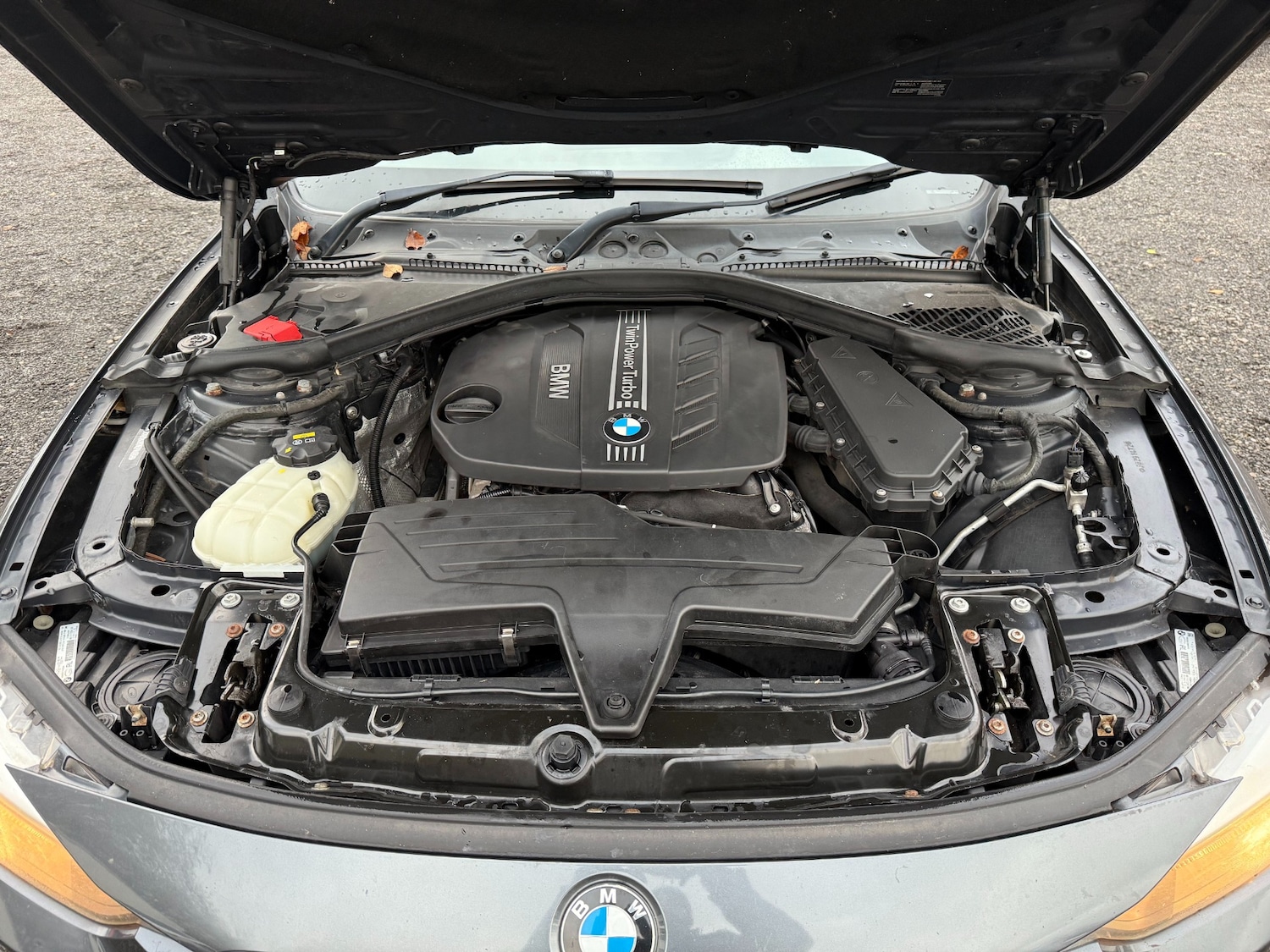 Used BMW 3 Series 2014 for sale - 77033708: Photo 23