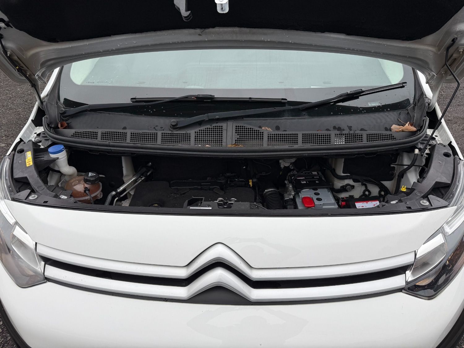 Used Citroen Dispatch 2019 for sale - 78039020: Photo 22