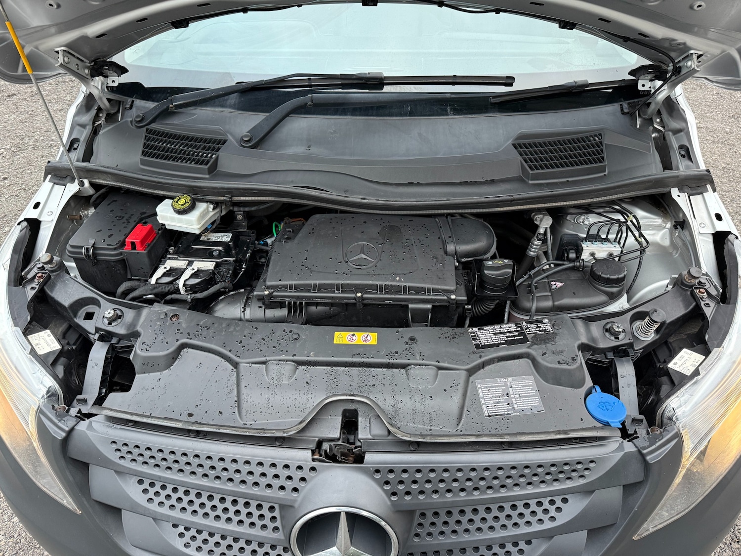 Used Mercedes-Benz Vito 2020 for sale - 76875456: Photo 21