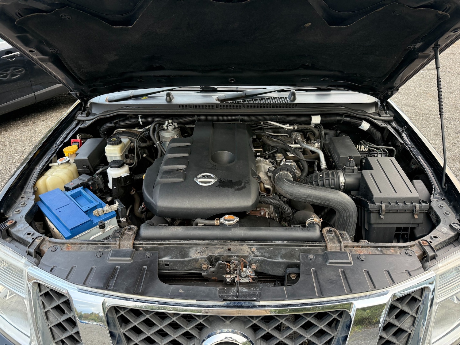 Used Nissan Navara 2015 for sale - 76373034: Photo 22