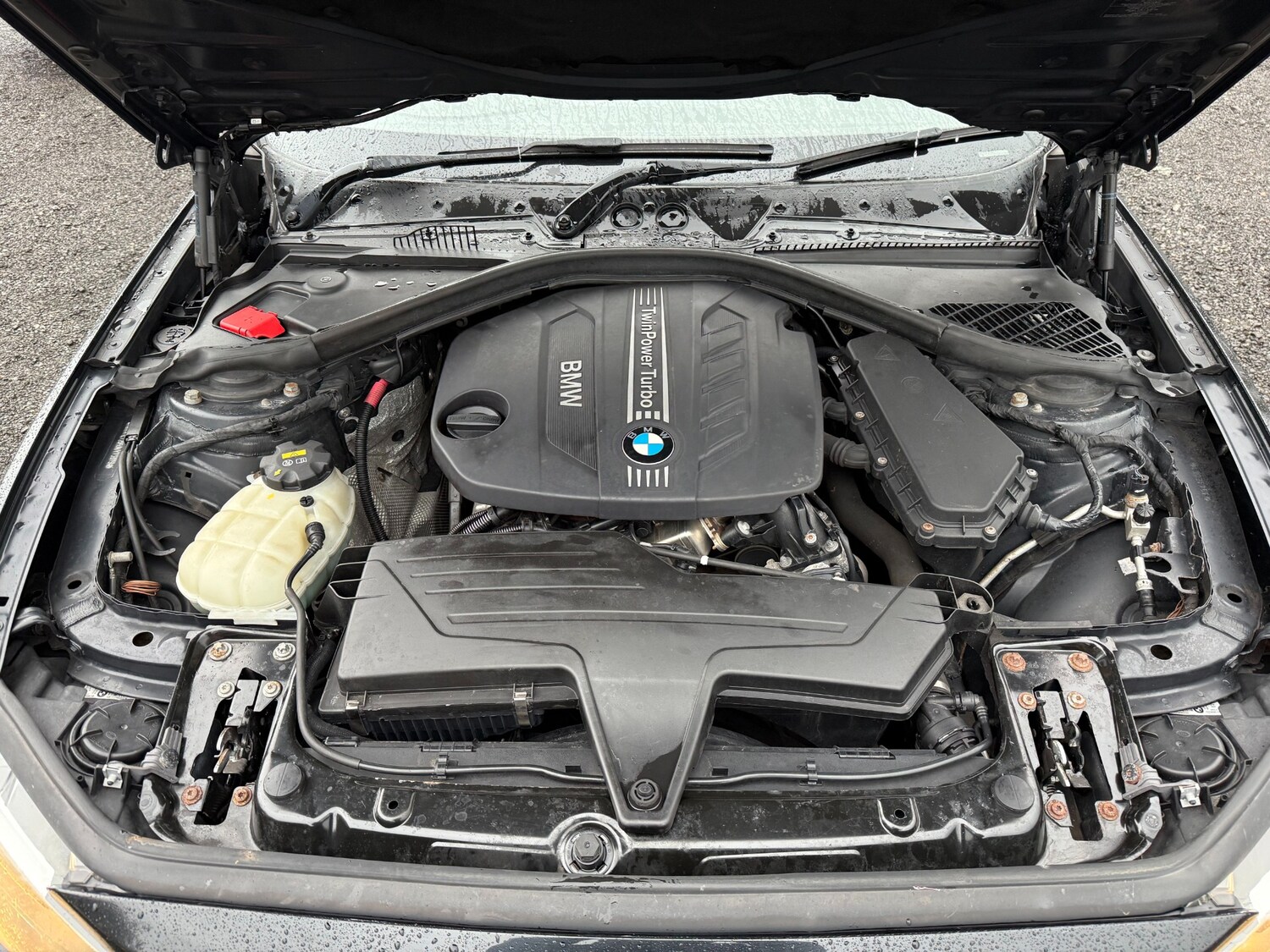 Used BMW 1 Series 2014 for sale - 77351257: Photo 22