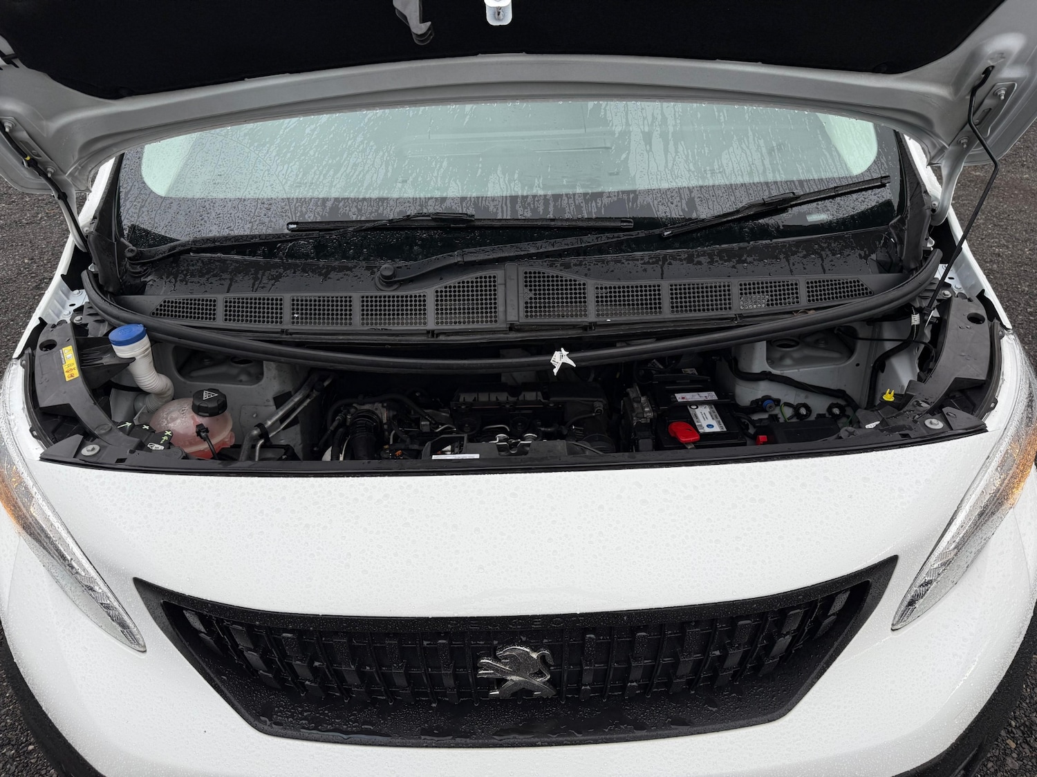 Used Peugeot Expert 2022 for sale - 76650807: Photo 20