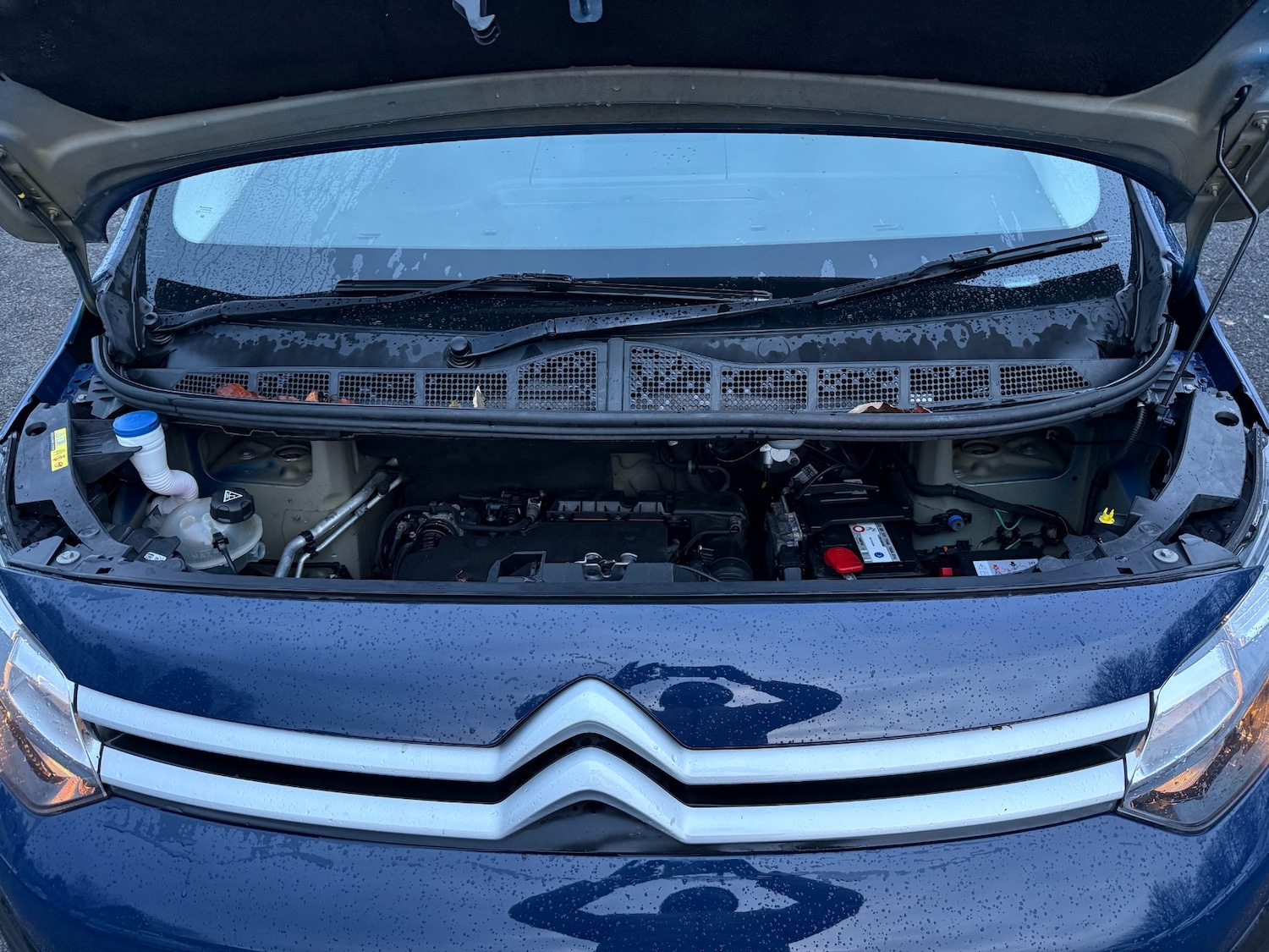 Used Citroen Dispatch 2020 for sale - 76867034: Photo 22