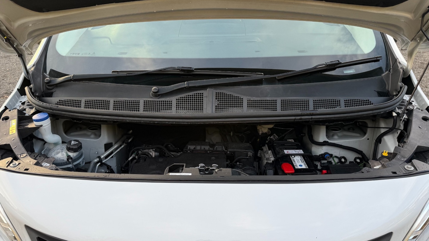 Used Peugeot Expert 2022 for sale - 76319937: Photo 21