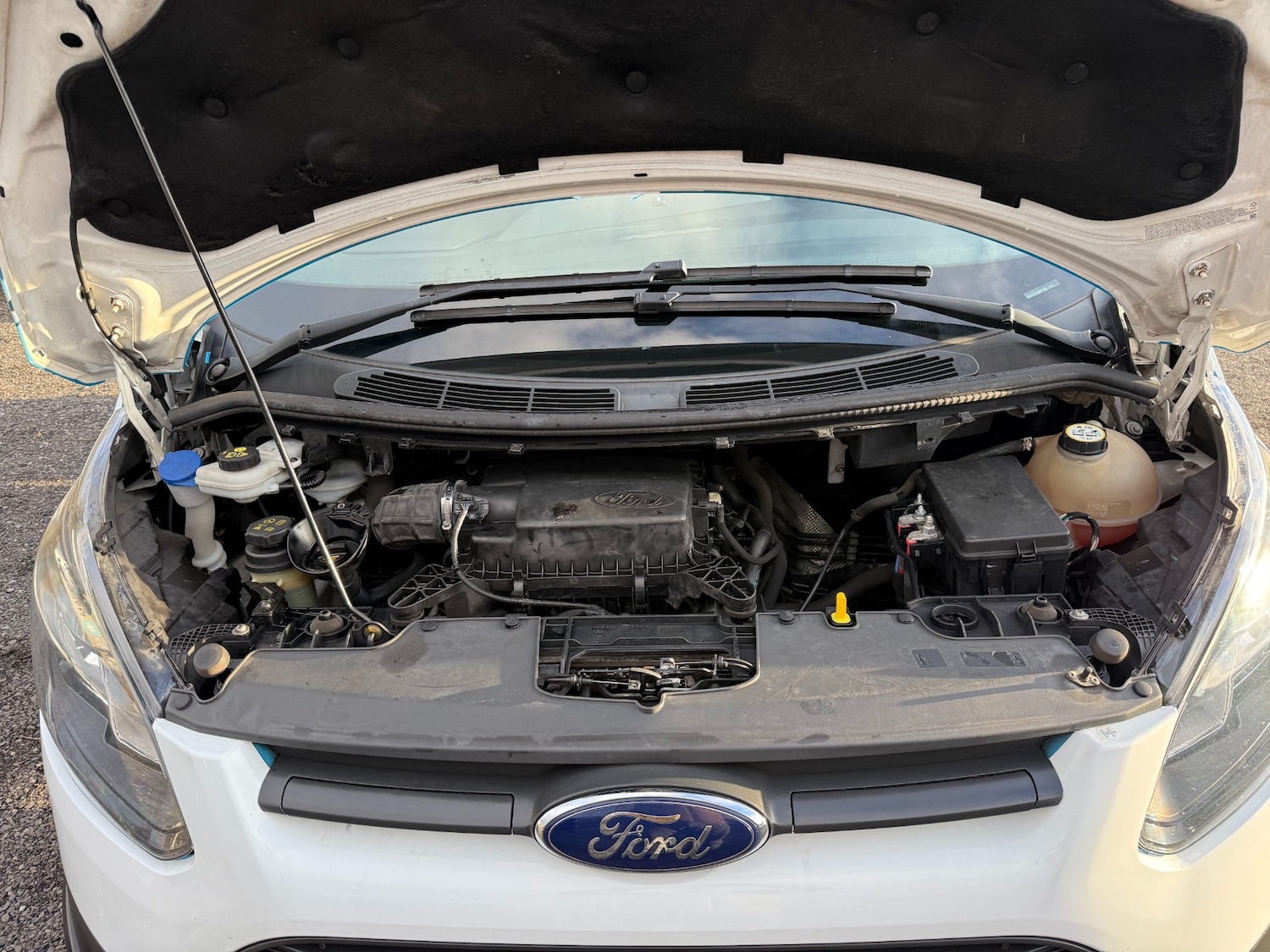 Used Ford Transit Custom 2017 for sale - 76597663: Photo 21