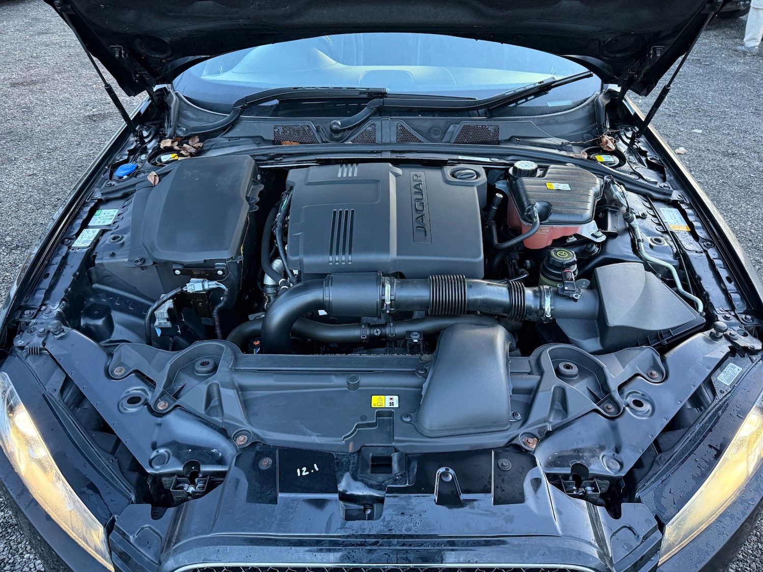 Used Jaguar XF 2014 for sale - 77541349: Photo 22