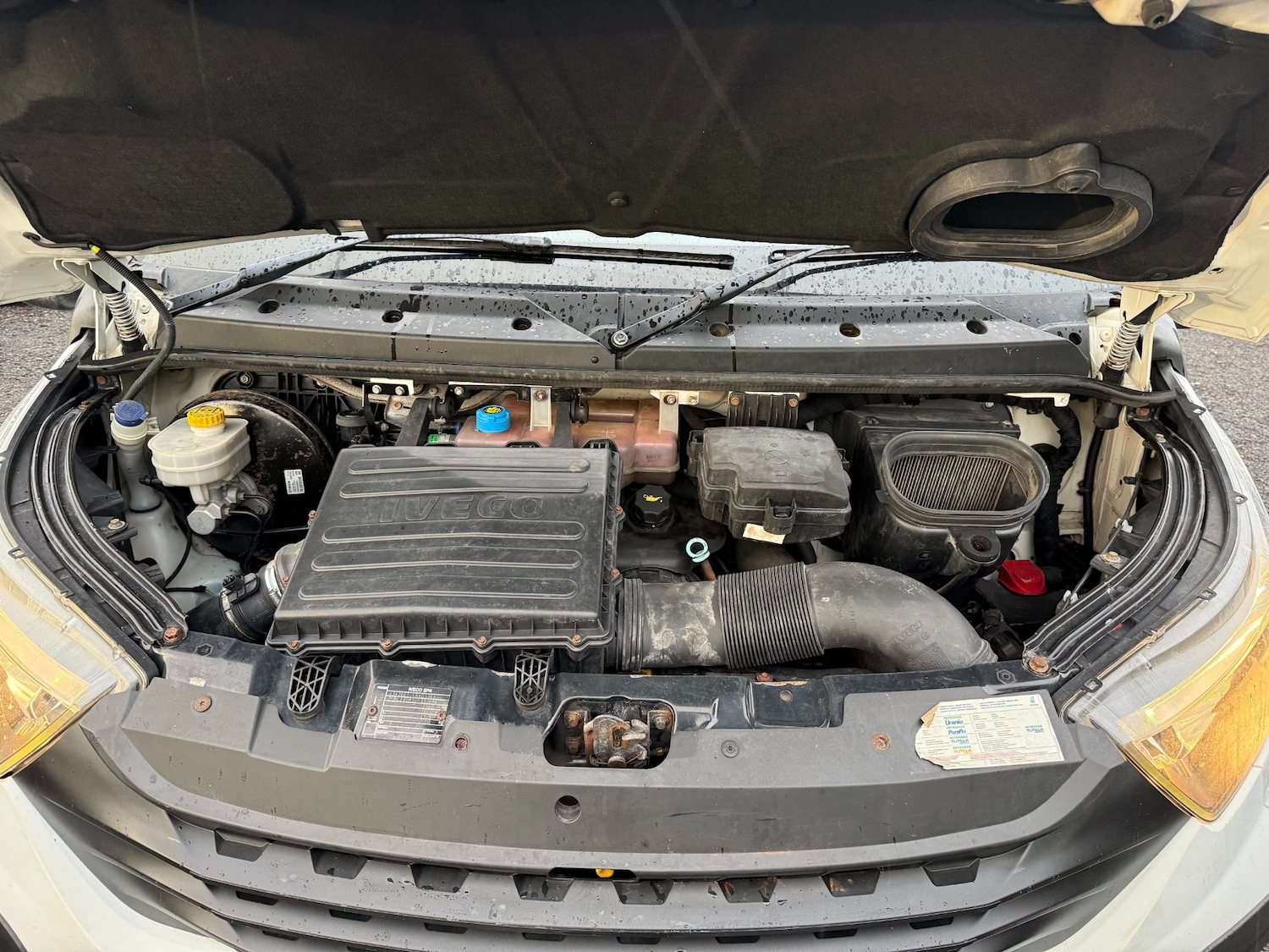 Used Iveco Daily 2016 for sale - 78144301: Photo 22