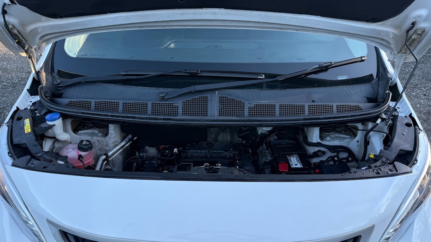Used Peugeot Expert 2018 for sale - 75955498: Photo 21