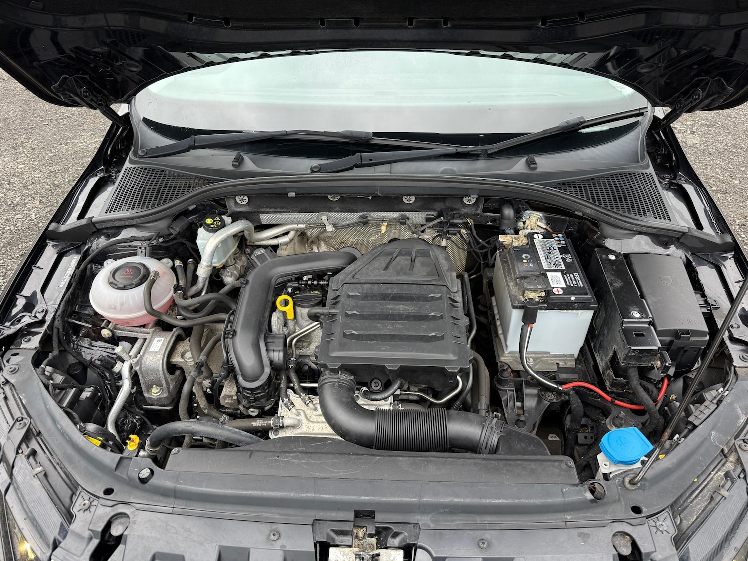 Used Skoda Octavia 2019 for sale - 77168123: Photo 24