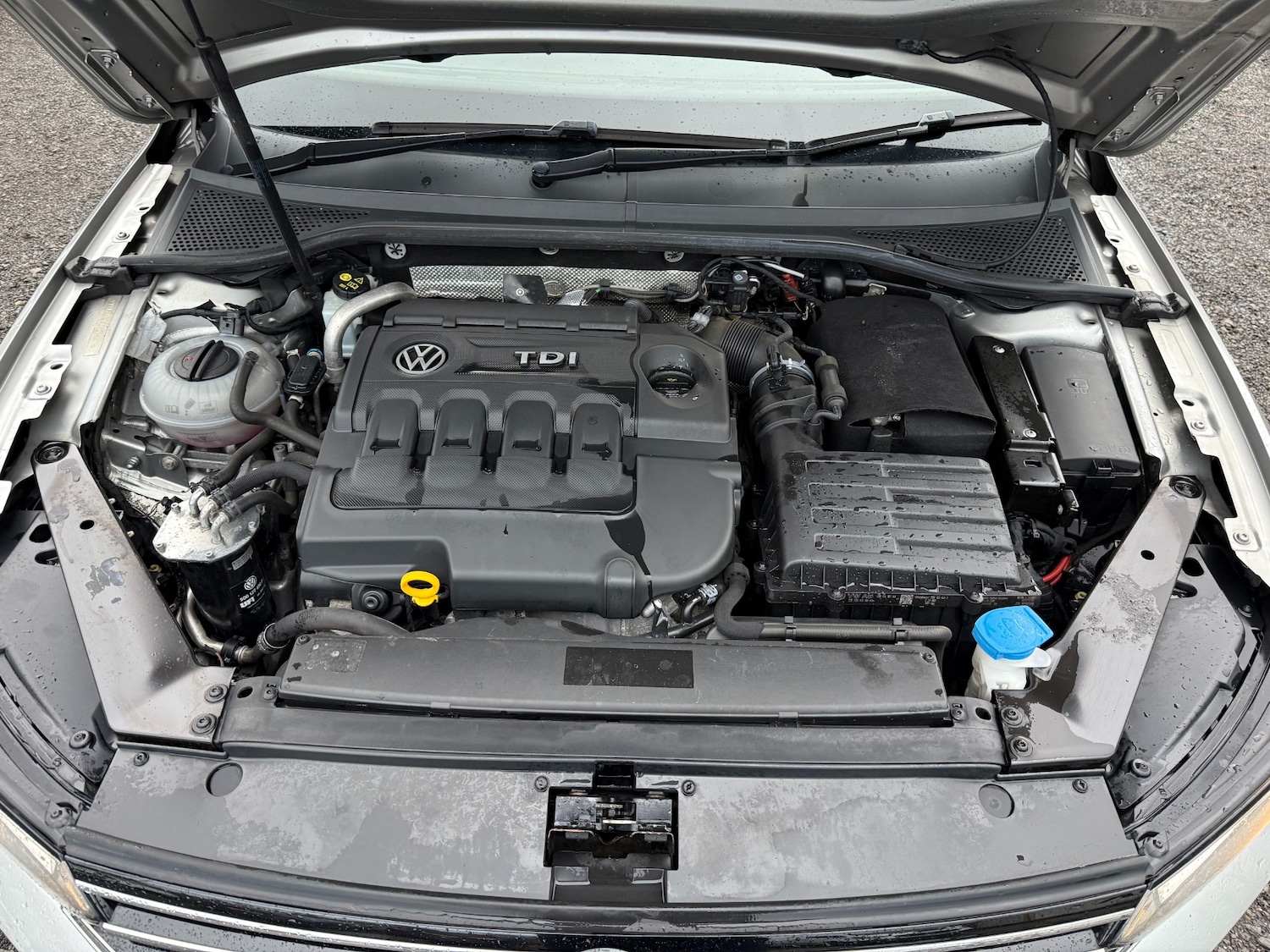 Used Volkswagen Passat 2016 for sale - 77543343: Photo 22