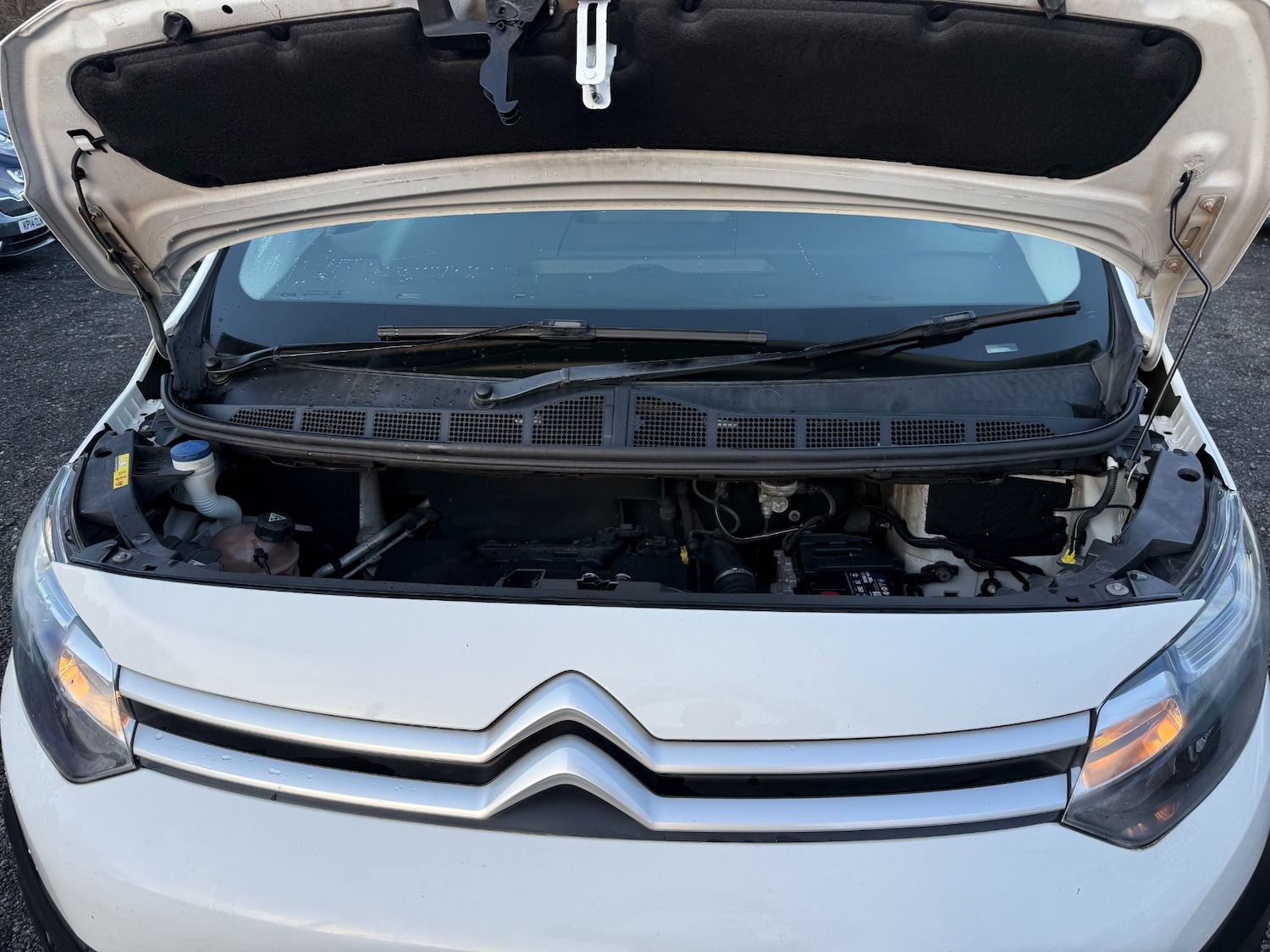 Used Citroen Dispatch 2018 for sale - 76672525: Photo 22