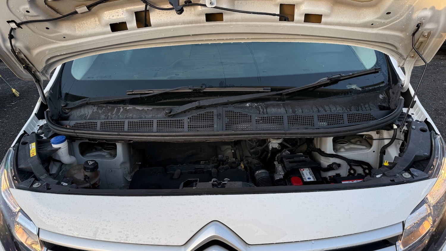 Used Citroen Dispatch 2019 for sale - 77032845: Photo 23