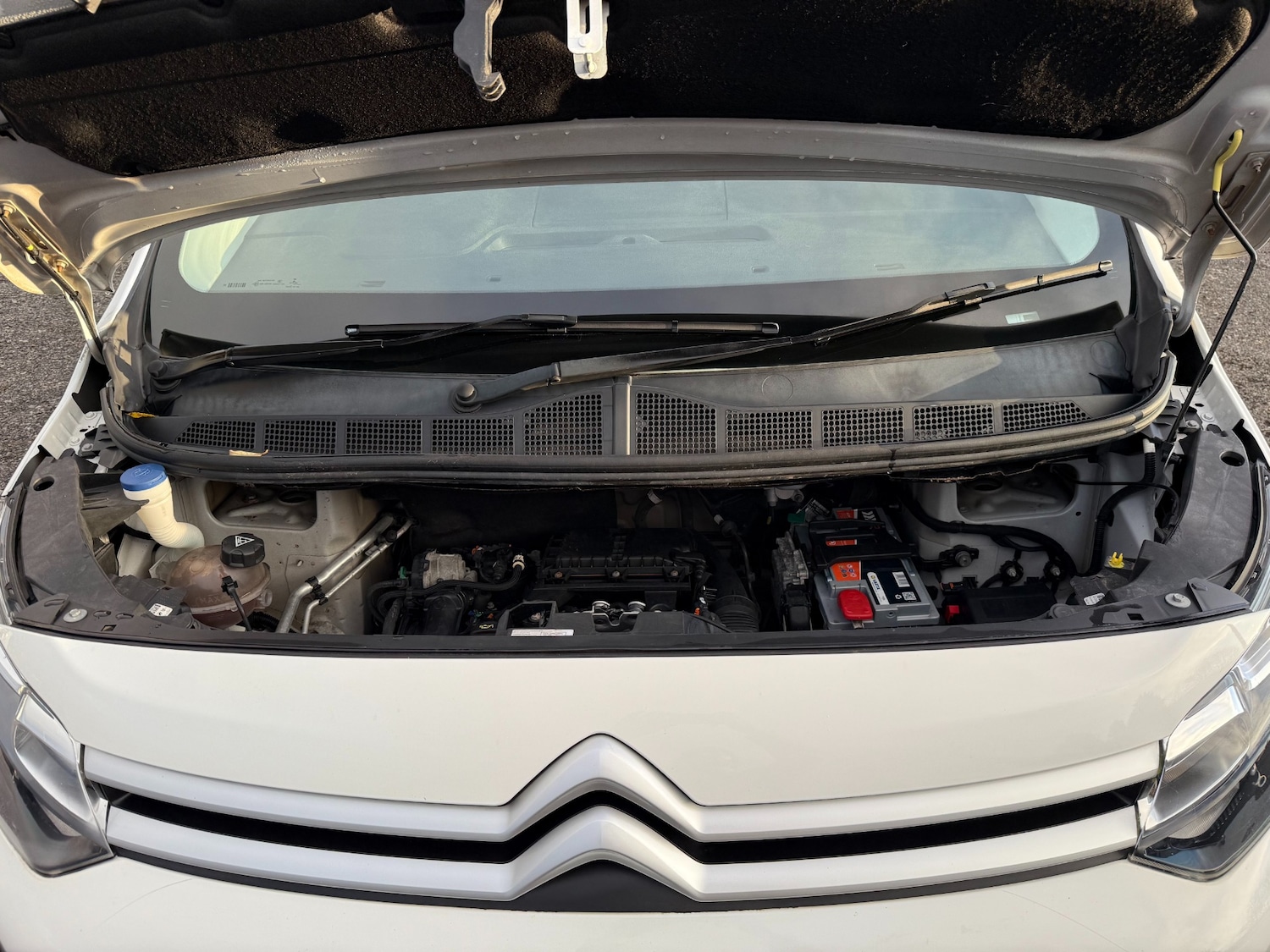 Used Citroen Dispatch 2017 for sale - 77245339: Photo 23