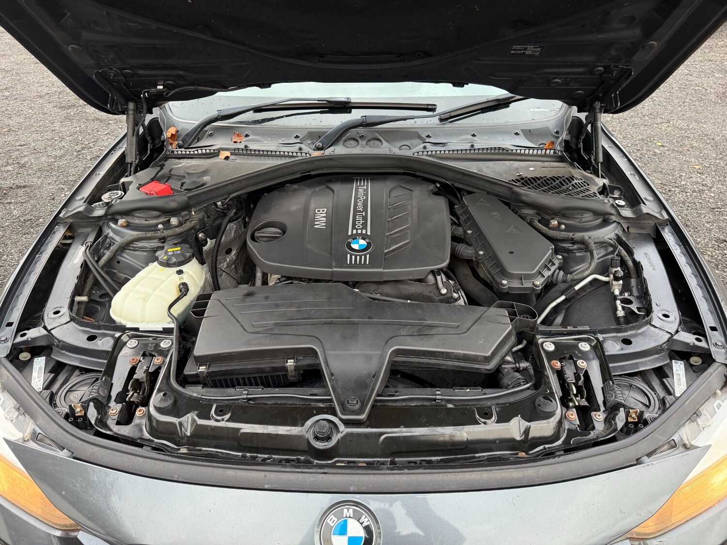 Used BMW 3 Series 2014 for sale - 78039026: Photo 23