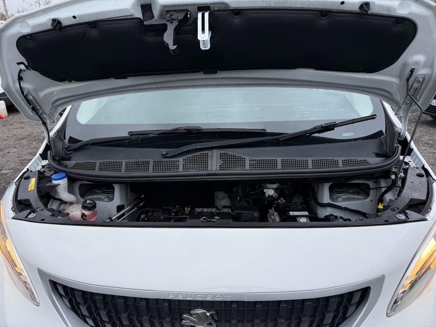 Used Peugeot Expert 2021 for sale - 77270789: Photo 24