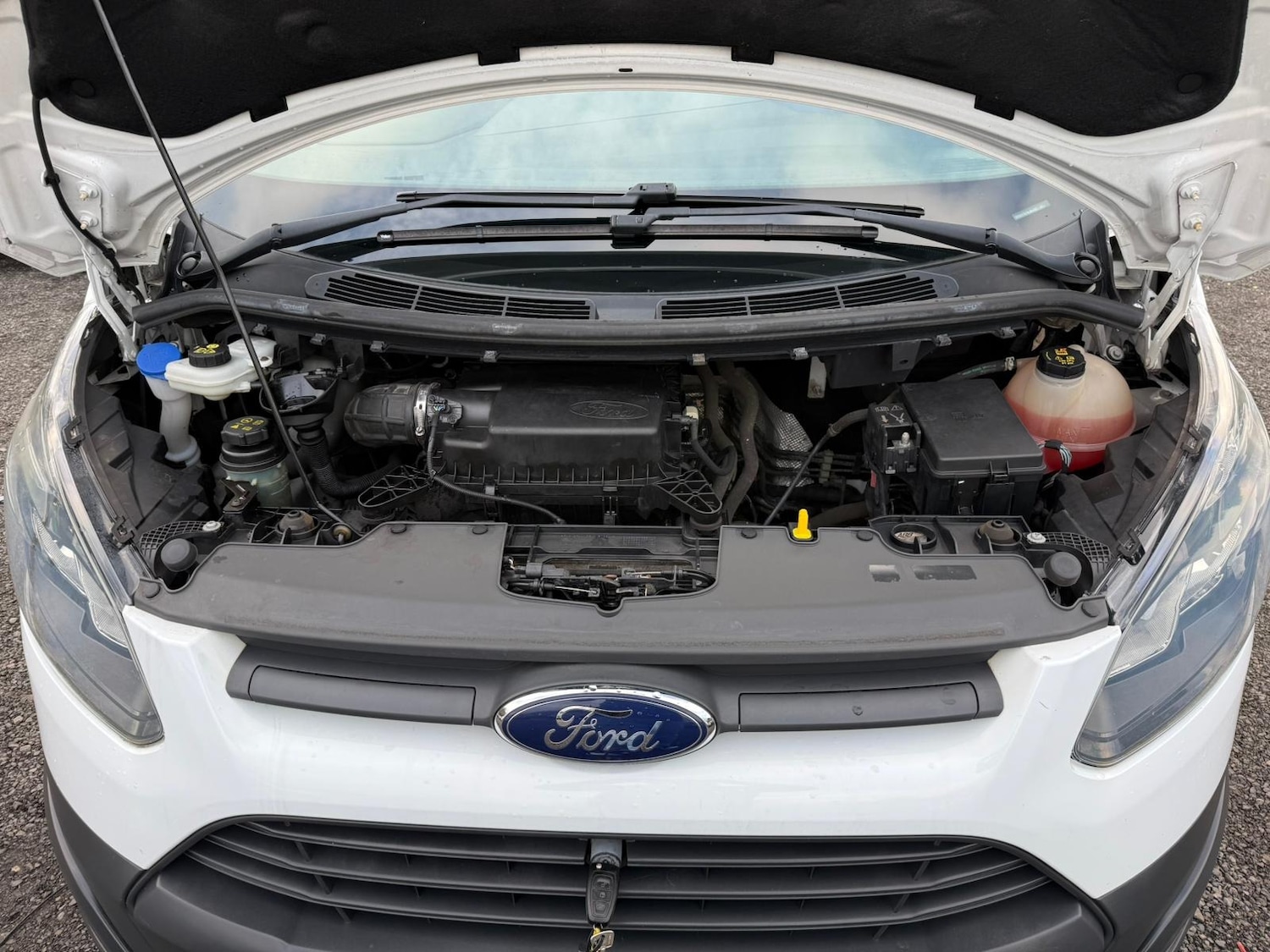 Used Ford Transit Custom 2017 for sale - 77135941: Photo 24