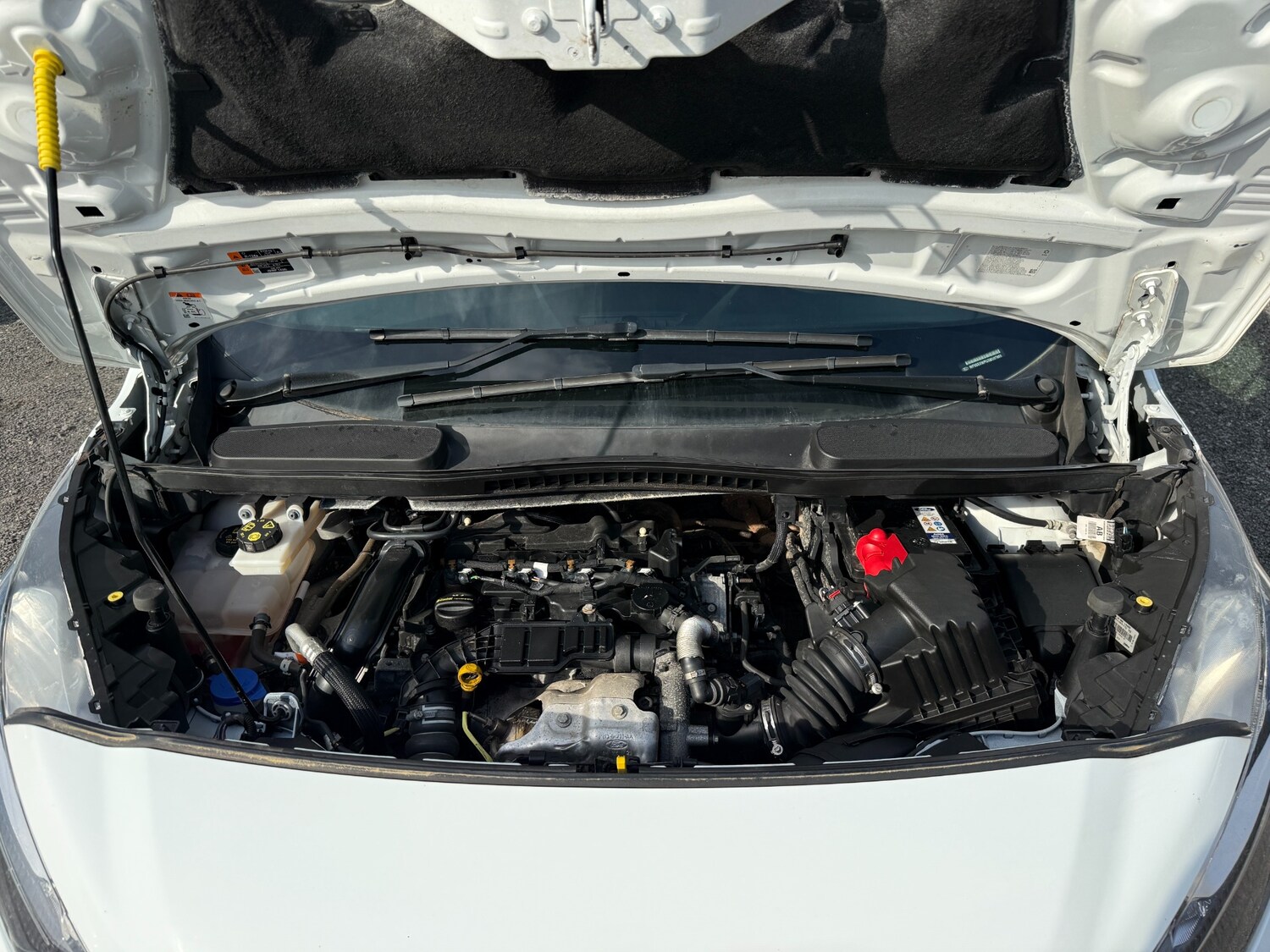 Used Ford Transit Connect 2021 for sale - 77983538: Photo 23