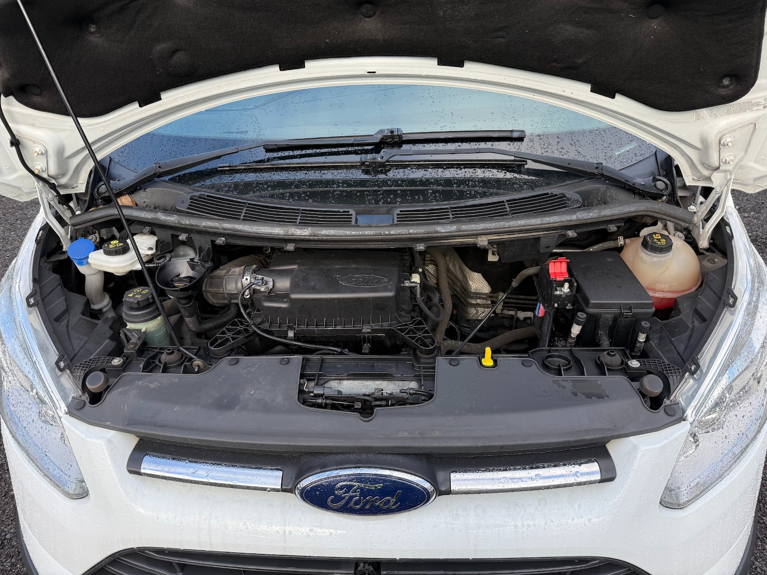 Used Ford Transit Custom 2017 for sale - 76316588: Photo 20