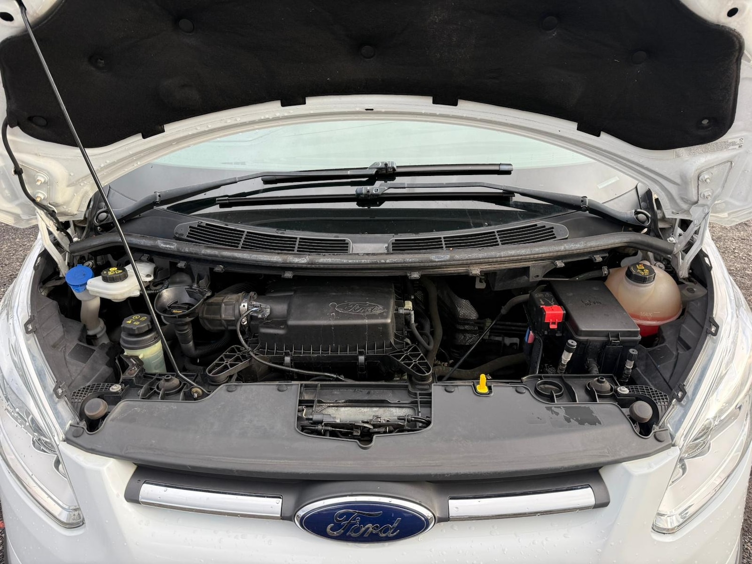 Used Ford Transit Custom 2017 for sale - 77034442: Photo 20