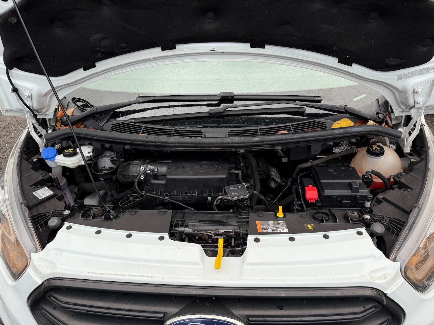 Used Ford Transit Custom 2020 for sale - 77033543: Photo 19