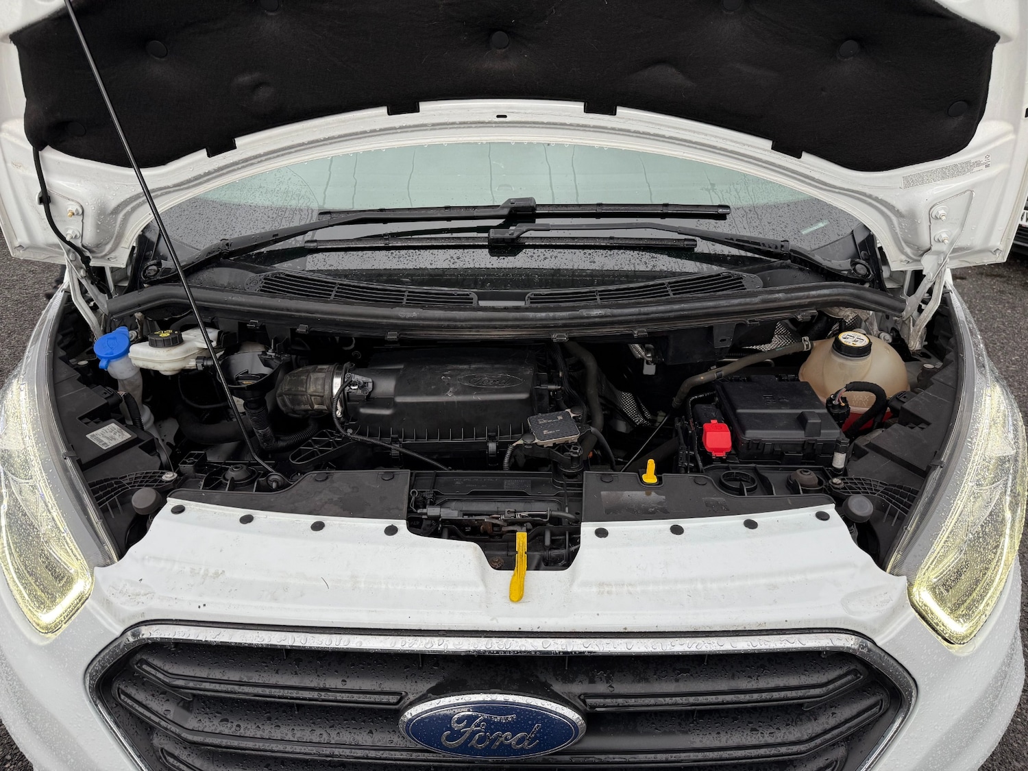 Used Ford Transit Custom 2019 for sale - 76392391: Photo 19