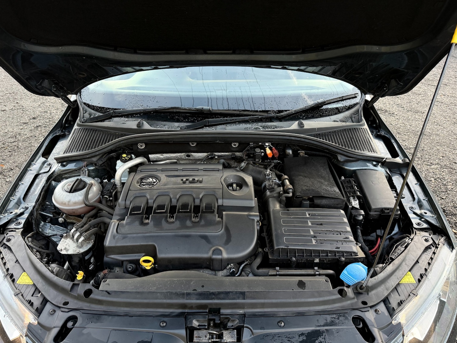 Used Skoda Octavia 2014 for sale - 77035747: Photo 22