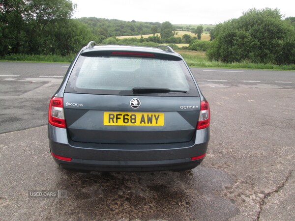 Used Skoda Octavia 2025 for sale - 75090431: Photo 6