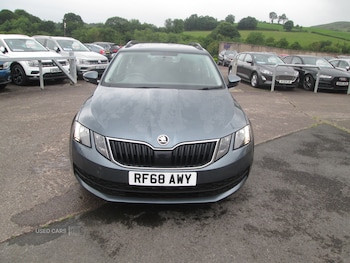 Used Skoda Octavia 2025 for sale - 79085020: Photo