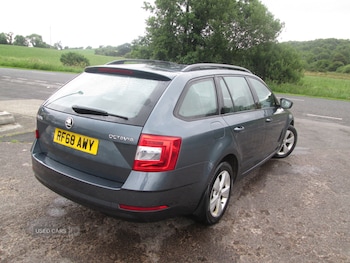 Used Skoda Octavia 2025 for sale - 79085020: Photo