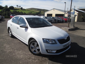 Skoda - Octavia