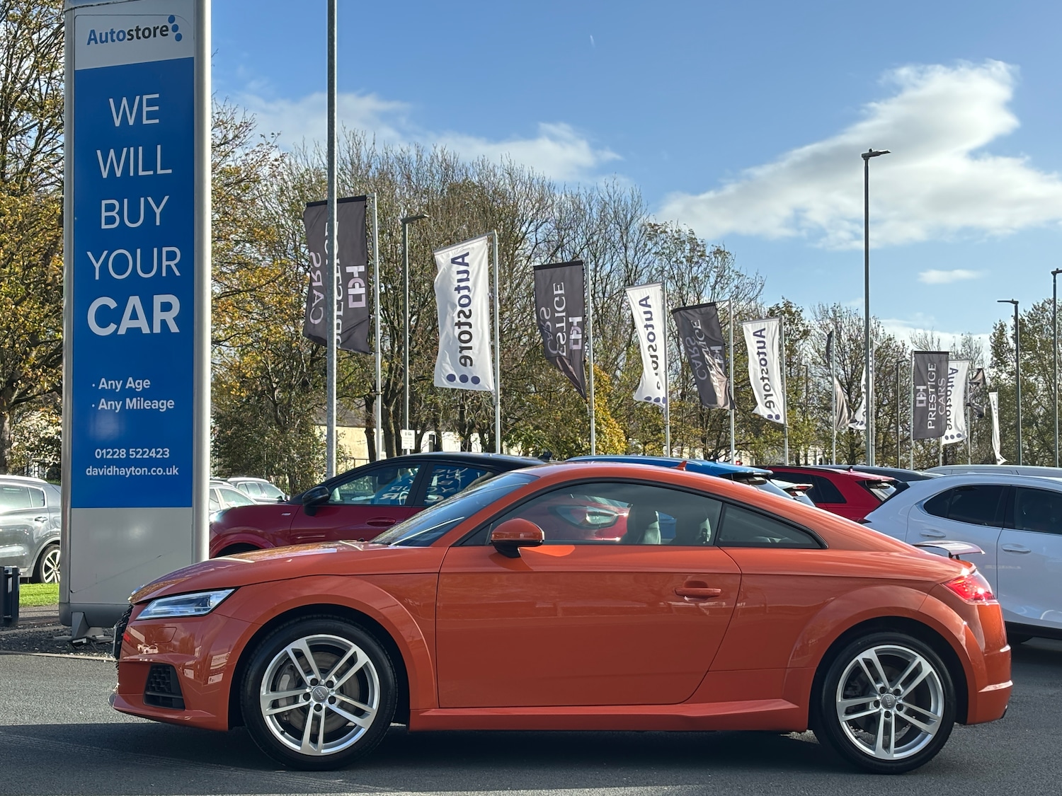 Used Audi TT 2021 for sale - 76412809: Photo 8