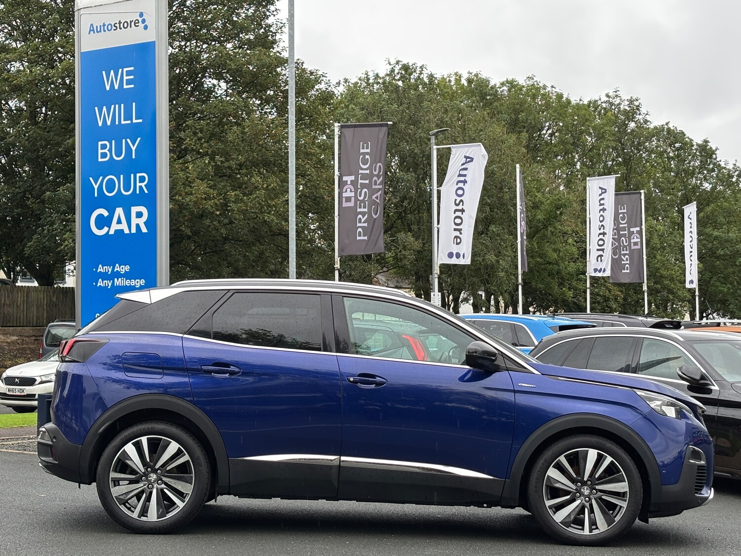 Used Peugeot 3008 2017 for sale - 75694385: Photo 5