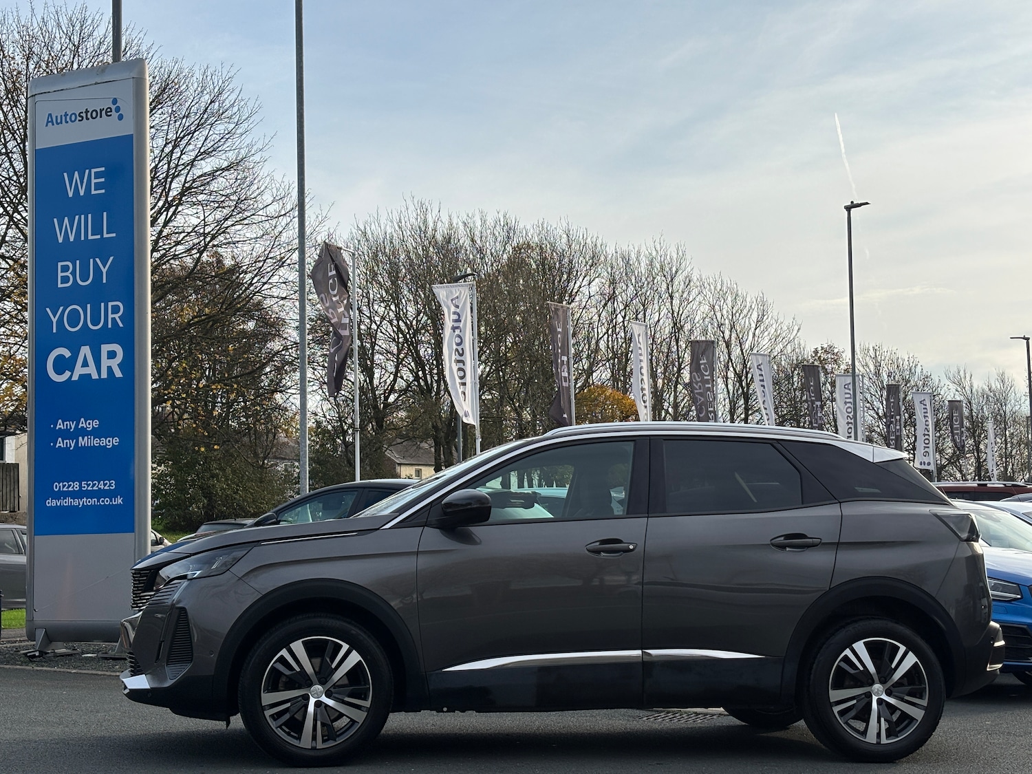 Used Peugeot 3008 2023 for sale - 76503076: Photo 8