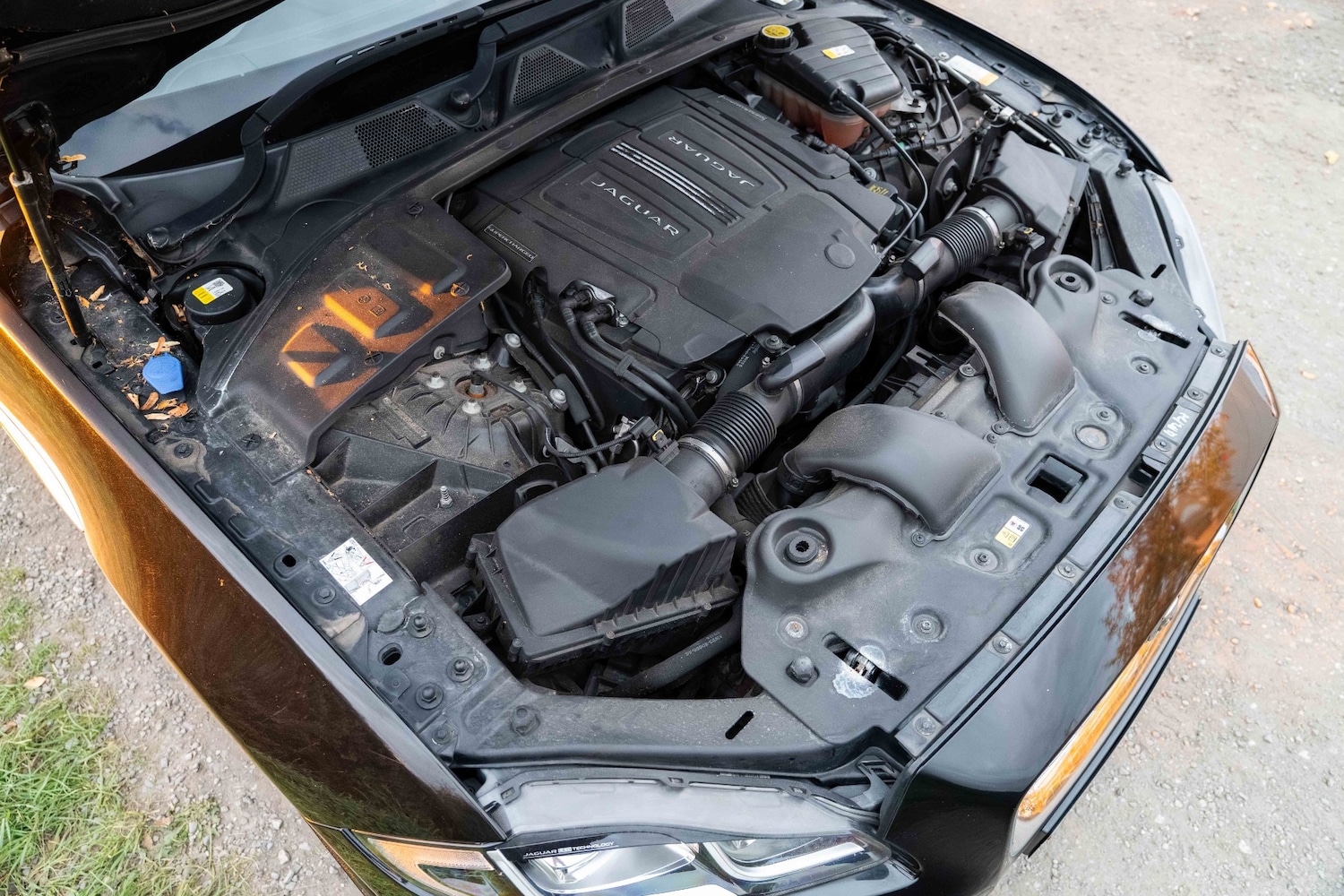 Used Jaguar XJ 2016 for sale - 76070517: Photo 13