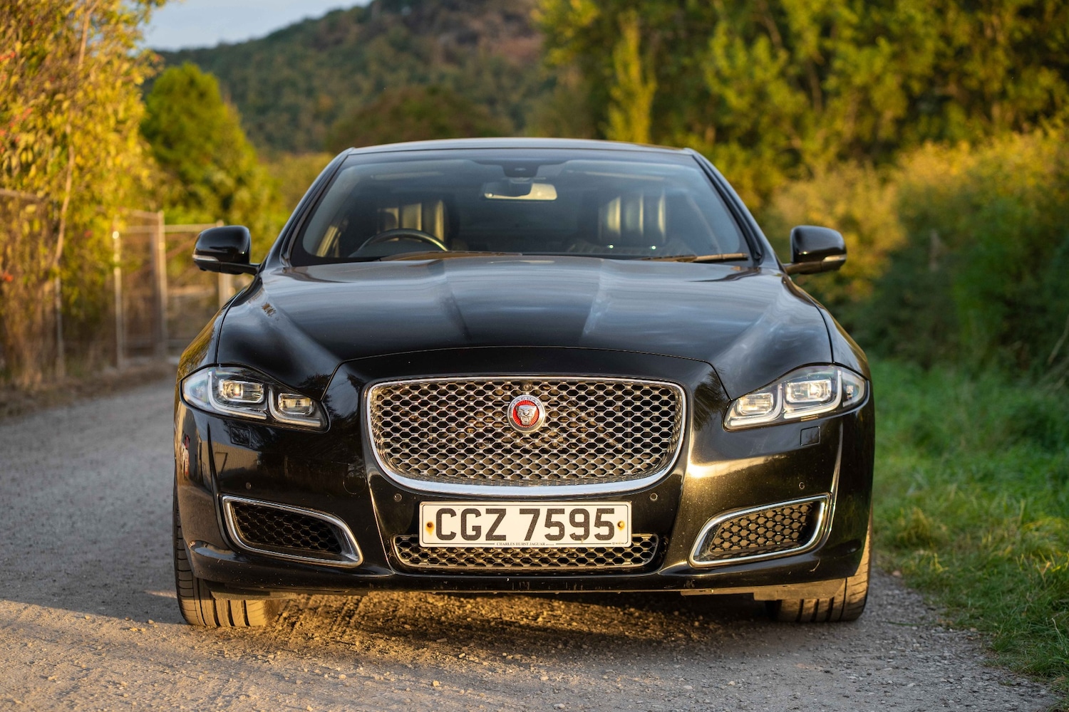 Used Jaguar XJ 2016 for sale - 76070517: Photo 5