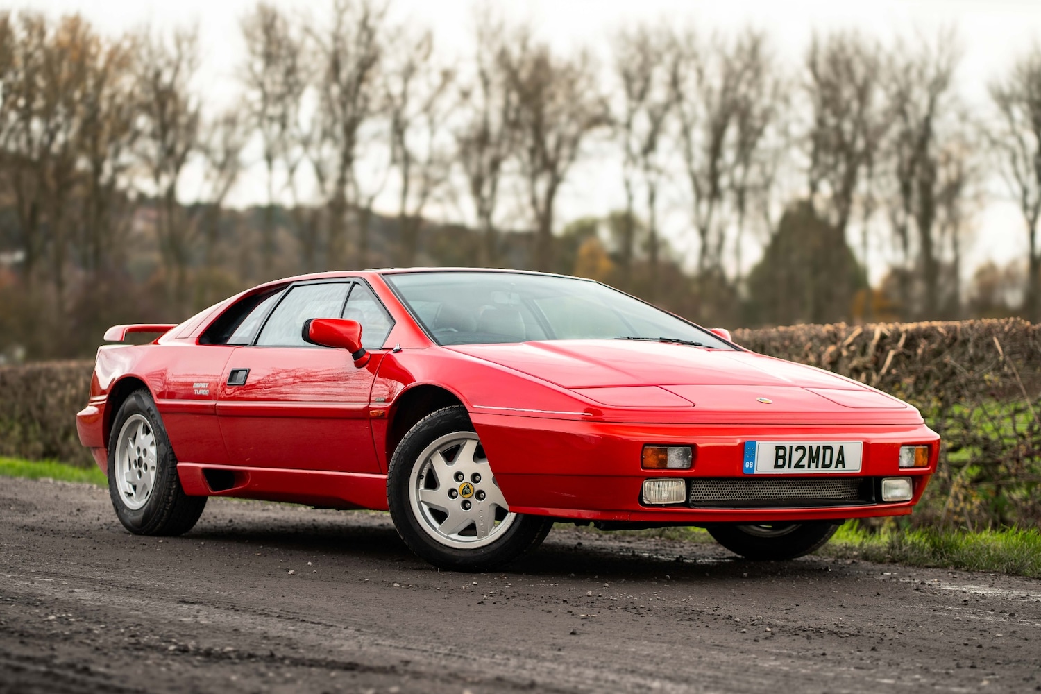 Used Lotus Esprit 1989 for sale - 76594685: Photo 1