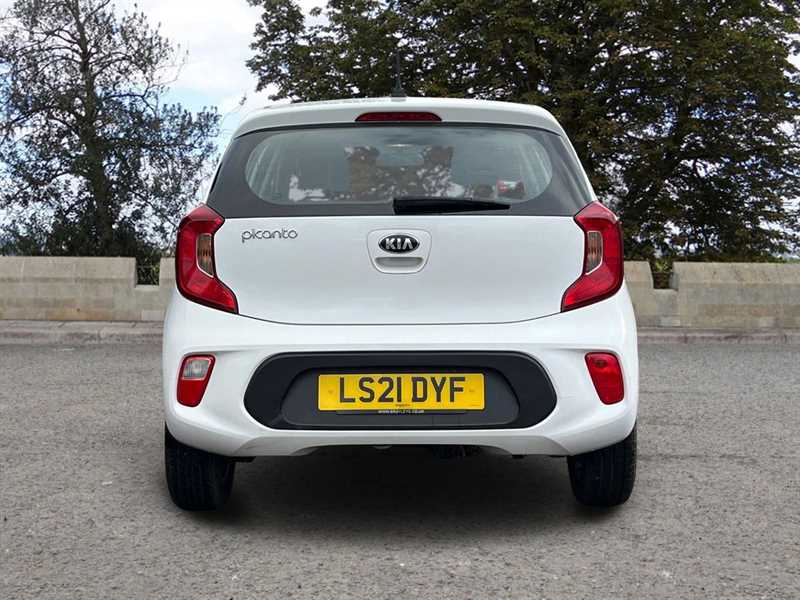 Used Kia Picanto 2021 for sale - 77627702: Photo 4